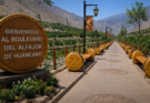¡PISCO IMPARABLE! HUANCANO SE TRANSFORMA CON EL NUEVO «BOULEVARD DEL ALFAJOR»
